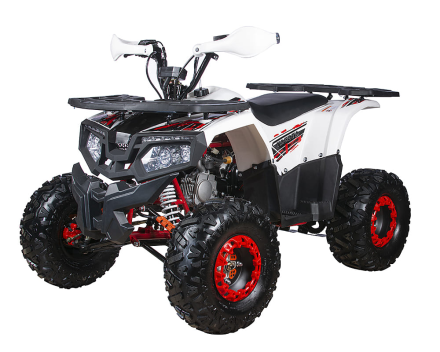 Квадроцикл YACOTA Fusion 125 PRO, фото 2