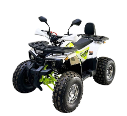 Квадроцикл BISON Miravel 125 Lux