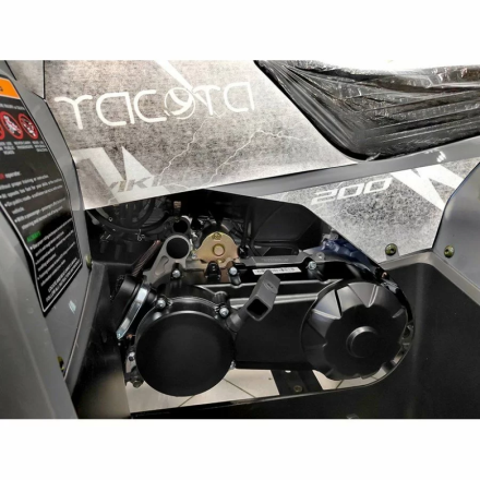 Квадроцикл YACOTA VIKING 200 PRO, фото 29