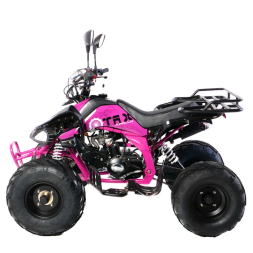 Подростковый квадроцикл MOTAX ATV T-Rex-LUX 125, фото 7 Подростковый квадроцикл MOTAX ATV T-Rex-LUX 125, фото 7