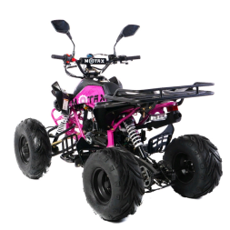Подростковый квадроцикл MOTAX ATV T-Rex-LUX 125, фото 6 Подростковый квадроцикл MOTAX ATV T-Rex-LUX 125, фото 6