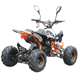 Подростковый квадроцикл MOTAX ATV T-Rex-LUX 125, фото 5 Подростковый квадроцикл MOTAX ATV T-Rex-LUX 125, фото 5