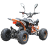 Подростковый квадроцикл MOTAX ATV T-Rex-LUX 125