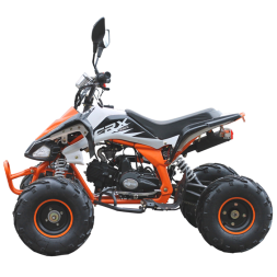 Подростковый квадроцикл MOTAX ATV T-Rex-LUX 125, фото 4 Подростковый квадроцикл MOTAX ATV T-Rex-LUX 125, фото 4
