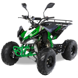 Подростковый квадроцикл MOTAX ATV T-Rex-LUX 125, фото 3 Подростковый квадроцикл MOTAX ATV T-Rex-LUX 125, фото 3
