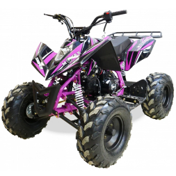 Подростковый квадроцикл MOTAX ATV T-Rex-LUX 125, фото 2 Подростковый квадроцикл MOTAX ATV T-Rex-LUX 125, фото 2