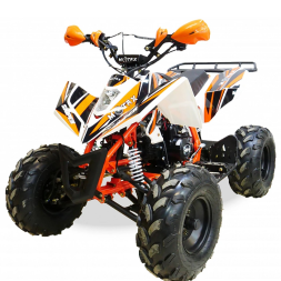 Подростковый квадроцикл MOTAX ATV T-Rex-LUX 125, фото 1 Подростковый квадроцикл MOTAX ATV T-Rex-LUX 125, фото 1