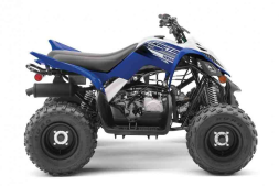 Квадроцикл YAMAHA YFM90R (Raptor 90), фото 3
