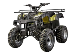 Квадроцикл YACOTA 200 PRO, фото 1 Квадроцикл YACOTA 200 PRO, фото 1
