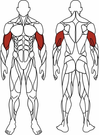 Бицепс стоя (серый) - Уличный тренажер - СТ 035-13.И1, фото 6