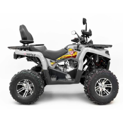 Квадроцикл GRIZLIK 200 ULTRA BIG, фото 3