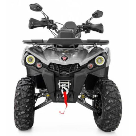 Квадроцикл GRIZLIK 200 ULTRA BIG, фото 2