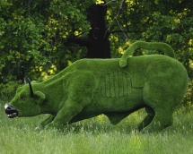 Топиари бык с Уолл-стрит - газон Premium Топиари бык с Уолл-стрит - газон Premium