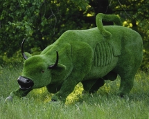 Топиари бык с Уолл-стрит - газон Premium Топиари бык с Уолл-стрит - газон Premium