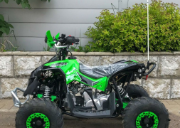 Квадроцикл YACOTA Renegade Mini, фото 5 Квадроцикл YACOTA Renegade Mini, фото 5