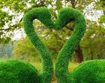 Топиари лебедь Чепелия - газон Eco Green