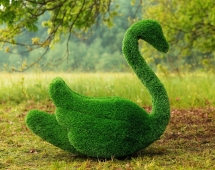 Топиари лебедь Чепелия - газон Eco Green