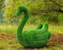 Топиари лебедь Чепелия - газон Eco Green