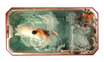 Плавательный спа бассейн Fonteyn Spas QX4