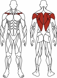 Тяга верхняя с переменной нагрузкой (красный) - Уличный тренажер - СТ 036-11, фото 6 Тяга верхняя с переменной нагрузкой (красный) - Уличный тренажер - СТ 036-11, фото 6