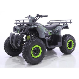 Квадроцикл GRIZLIK T200, фото 1