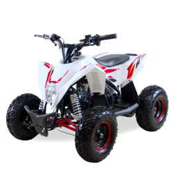 Детский квадроцикл MOTAX GEKKON 90 cc 1+1 (Реверс), фото 1 Детский квадроцикл MOTAX GEKKON 90 cc 1+1 (Реверс), фото 1
