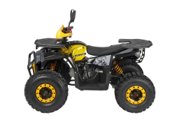 Квадроцикл AVANTIS Optima 8 Lux, фото 3