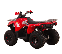 Квадроцикл MIKILON Hammer 200L Pro-R, фото 3