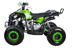 Квадроцикл YACOTA Renegade, фото 5 Квадроцикл YACOTA Renegade, фото 5