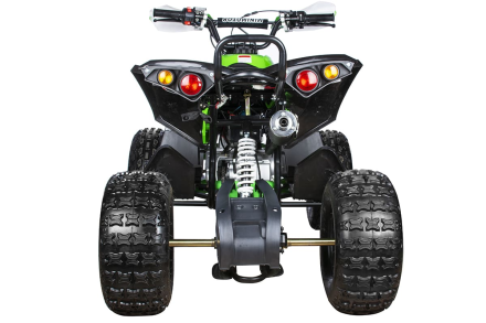 Квадроцикл YACOTA Renegade, фото 4