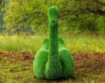 Топиари два лебедя Чепелия - газон Eco Green