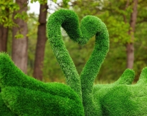 Топиари два лебедя Чепелия - газон Eco Green