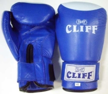 Перчатки бокс PRO STAR (кожа) 8 oz синие