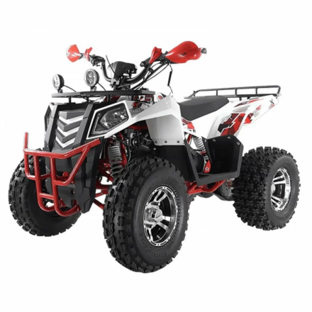 Квадроцикл WELS 200cc EVO, фото 4