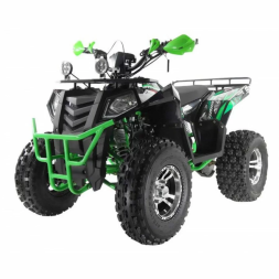 Квадроцикл WELS 200cc EVO, фото 3 Квадроцикл WELS 200cc EVO, фото 3