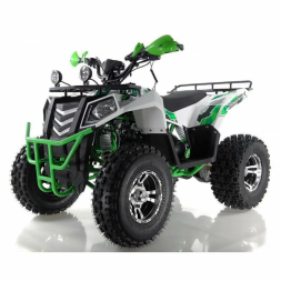 Квадроцикл WELS 200cc EVO, фото 2 Квадроцикл WELS 200cc EVO, фото 2