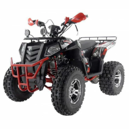 Квадроцикл WELS 200cc EVO, фото 1 Квадроцикл WELS 200cc EVO, фото 1
