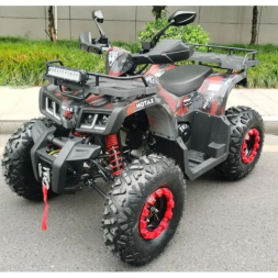 Квадроцикл GRIZLIK T200 LUX, фото 5