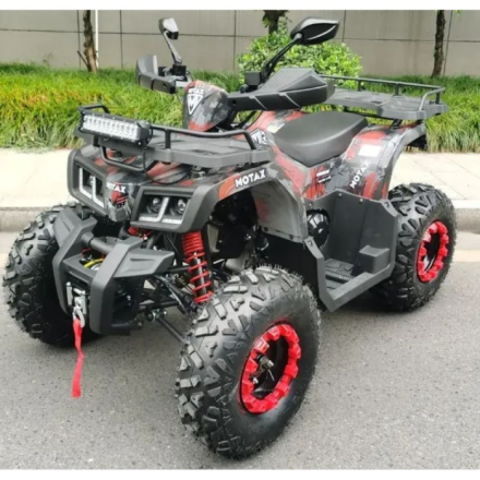 Квадроцикл GRIZLIK T200 LUX, фото 5