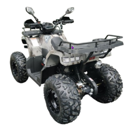 Квадроцикл GRIZLIK T200 LUX, фото 3