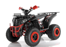 Квадроцикл WELS ATV Thunder 200 Evo X