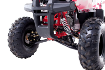 Квадроцикл WELS Thunder 125 Basic