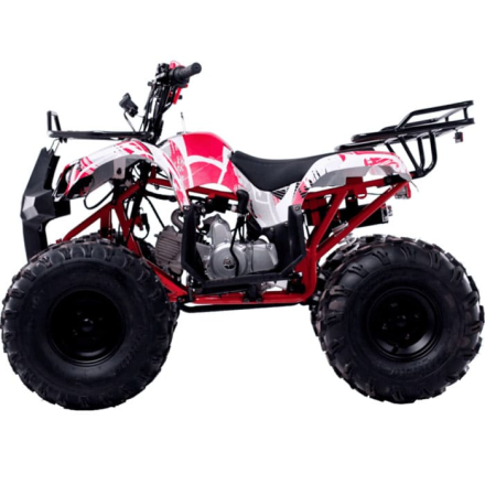 Квадроцикл WELS Thunder 125 Basic, фото 3