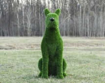 Топиари собака Боксер - газон Eco Топиари собака Боксер - газон Eco