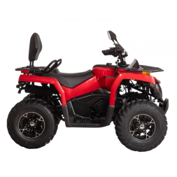 Квадроцикл Bizon YK250 Basic Carb, фото 4