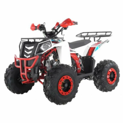 Квадроцикл WELS ATV Thunder EVO 125, фото 3 Квадроцикл WELS ATV Thunder EVO 125, фото 3