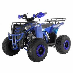 Квадроцикл WELS ATV Thunder EVO 125, фото 1 Квадроцикл WELS ATV Thunder EVO 125, фото 1