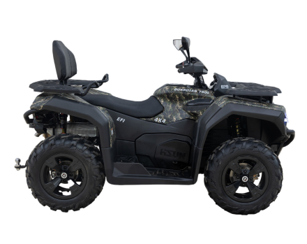 Квадроцикл HISUN Guardian 750L Long, фото 3