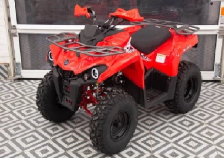 Квадроцикл MIKILON Hammer 200L Pro, фото 1