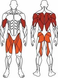 Жим ногами + жим от груди (красный) - Уличный тренажер - СТ 037-11, фото 6 Жим ногами + жим от груди (красный) - Уличный тренажер - СТ 037-11, фото 6